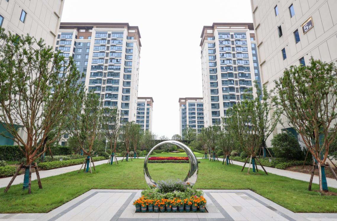 1697609621755251.jpg 5.jpg